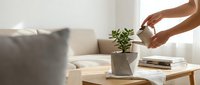 Woman watering small potted plant on wooden coffee table in modern living room with neutral sofa and natural light for home gardening and interior decor.