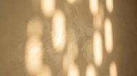 Warm golden sunlight creates soft shadow patterns on textured beige wall surface with natural lighting effects for interior design backgrounds.