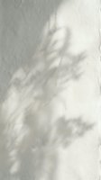 Soft shadow silhouette of woman with flowing hair cast on textured wall surface creating dreamy atmospheric mood for interior design projects.
