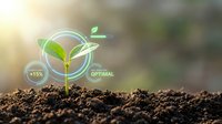 Young green plant sprouting from rich soil with digital growth indicators, optimal status display, and glowing circular interface overlay.