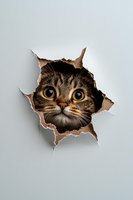 Tabby cat face peeking through torn white paper hole with curious expression. Isolated design element for posters, wall decals, and creative projects.