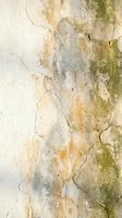 Weathered concrete wall with peeling paint, cracks, and moss stains creating vintage grunge texture for backgrounds and design projects.