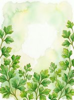 Watercolor parsley herb border frame with green foliage on cream background, isolated design element for culinary, cooking, recipe, and kitchen-themed projects.