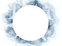 Watercolor feather wreath frame with white circle center for text or logo placement. Blue and gray plumes create elegant border for invitations and branding.