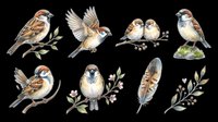 Watercolor birds and feathers collection with sparrows, finches, and botanical elements isolated on transparent background, ready for t-shirt designs, clipart, stickers, sublimation, and print-on-demand projects.
