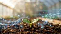 Young green plant seedling growing from rich soil with digital technology network connections and data streams representing sustainable agriculture innovation.