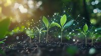 Young green seedlings growing from soil with glowing network connections, representing growth, technology, and sustainable development in agriculture and business.