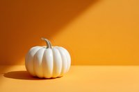 White decorative pumpkin on vibrant orange background with shadow, minimal autumn composition for seasonal marketing and holiday decor.