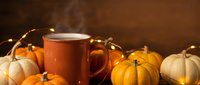 Steaming mug of hot cider surrounded by autumn gourmet pumpkins and squash, perfect for fall beverage, seasonal marketing, and harvest-themed designs.