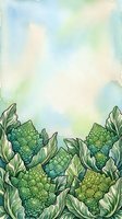 Watercolor illustration of fresh green cauliflower heads with detailed leaves arranged at bottom border, isolated on soft pastel background. Suitable for recipe blogs, cooking websites, organic food packaging, and culinary design projects.