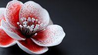 Delicate red and white flower blossom with speckled petals and detailed stamen against dark background, showcasing intricate natural patterns and macro photography.