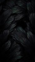 Dark iridescent feathers with emerald green highlights creating luxurious textured background for fashion and nature designs.