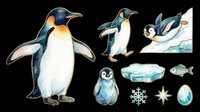 Watercolor penguin clipart set with adult and baby penguins, ice floes, fish, snowflake, and egg, isolated on transparent background, ready for stickers and print on demand.