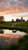 Pastoral farm scene with dairy cow grazing near pond at golden hour sunset. Rural barn and silo silhouetted against dramatic orange sky with perfect water reflections.