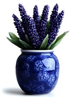 Vibrant purple grape hyacinth flowers arranged in blue ceramic oriental vase with floral pattern on white isolated background, ready for design and decoration use.