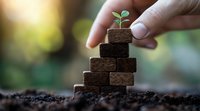 Hand placing small plant seedling on top of stacked soil blocks, symbolizing growth, sustainability, and business development in natural environment.