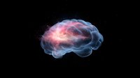 Glowing translucent brain with pink and blue ethereal smoke effect on black background, representing mind, consciousness and neural activity in medicine.
