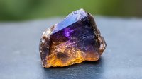 Raw ametrine crystal displaying vibrant purple and golden yellow zones on gray background, showing natural formation and color zoning characteristic of mineral.