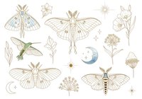 Celestial insects and botanical elements with moths, hummingbird, dragonfly, stars, moons, and wildflowers in gold and soft tones on white background. Isolated clipart for design.