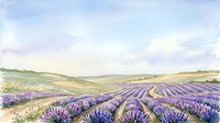 Lavender field landscape with rolling hills and purple flowering plants in rows under soft cloudy sky, suitable for travel, agriculture, and nature backgrounds.