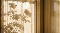 Warm sunlight filters through lace curtains casting delicate plant shadows on window creating cozy vintage home interior atmosphere for relaxation and comfort.