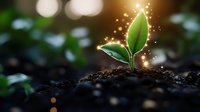 Young green sprout growing from soil with magical glowing sparkles and bokeh lights in dark background, representing growth, new beginnings and hope.