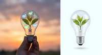 Eco-friendly light bulb with green plant inside symbolizing renewable energy, sustainability and environmental innovation for clean technology concepts.