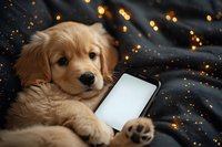 Adorable golden retriever puppy lying on dark blanket with smartphone, surrounded by warm bokeh lights creating cozy atmosphere. Pet using modern technology.