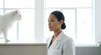 Young woman of Asian descent wearing a light gray shirt, sitting indoors near a windowsill with a white cat standing beside her, suitable for pet care, lifestyle, and wellness content.