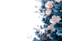 Delicate pink and blue floral composition on white background with soft focus and dreamy atmosphere, creating romantic botanical border design.