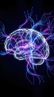 Glowing brain with electric neural pathways in neon blue and purple colors on dark background for neuroscience and artificial intelligence concepts.