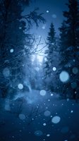 Magical winter forest scene with falling snow and bokeh lights creating dreamy atmosphere among evergreen trees and bare branches at twilight.