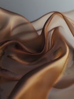 Smooth flowing waves of liquid chocolate create elegant abstract curves and swirls against neutral background, showcasing rich brown and caramel tones in silky texture.