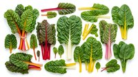 Fresh leafy greens collection featuring rainbow chard, spinach and kale varieties isolated on white background for healthy cooking and nutrition concepts.