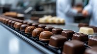 Rows of artisanal chocolate bonbons lined up in professional kitchen setting, showing glossy dark and milk chocolate pralines with selective focus and depth of field.