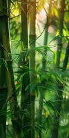 Fresh green bamboo stalks and leaves in soft morning light with natural bokeh effect, creating zen atmosphere for wellness and spa backgrounds.