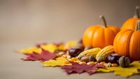 Autumn harvest display with orange pumpkins, colorful fall leaves, corn, acorns and nuts arranged on neutral background for seasonal decorating.