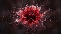 Red dahlia flower with dynamic water splash effects on dark background creating dramatic floral art composition for creative projects and designs.