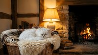 Cozy living room interior with fireplace, wicker basket, soft blankets and warm lighting creating comfortable hygge atmosphere for relaxation and home decor.