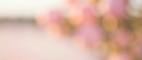 Soft blurred bokeh background with warm pink and golden light effects creating dreamy romantic atmosphere for wedding invitations and spring designs.