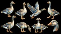 Isolated waterfowl collection featuring multiple duck poses and angles on transparent background, ready for clipart, t-shirt design, print-on-demand products, stickers, and sublimation projects.