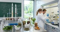 Two female scientists in white lab coats conducting plant research in modern laboratory with green chalkboard, glassware, and botanical specimens for education.