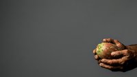 Hands holding fresh ginger root and green apple against gray background, representing organic produce, healthy nutrition, wellness, and natural ingredients for cooking and alternative medicine.