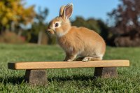 Adorable brown rabbit sitting on wooden bench in garden setting, soft fur catching sunlight against blurred natural background. Perfect for animal, pet and nature themes.