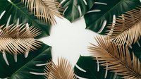 Tropical golden palm leaves and monstera foliage frame creating natural border on white background for summer design projects and botanical decorations.