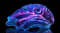 Glowing digital brain visualization with particle effect in blue and purple neon colors on black background shows neural connections and brain activity patterns.