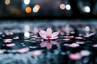 Pink cherry blossom flower floating on dark water surface with bokeh lights creating romantic evening atmosphere for wellness and meditation concepts.