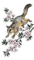Possum climbing among blooming cherry blossoms with pink flowers and green foliage on white background, isolated clipart for design projects.