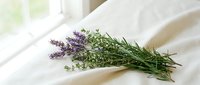 Fresh lavender and rosemary herb bundle on white linen fabric with natural sunlight, aromatic plants for cooking, aromatherapy and home decor.