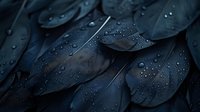 Dark blue petals with water droplets in moody lighting create dramatic natural texture, macro photography showing delicate details and wet surface reflections.